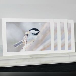 4 Stunning Black Capped Chickadee Matte Finish Blank Photo Cards